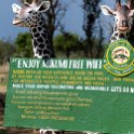 TZA MOR Mikumi 2016DEC16 NP 002 : 2016, 2016 - African Adventures, Africa, Date, December, Eastern, Mikumi, Month, Morogoro, National Park, Places, Tanzania, Trips, Year